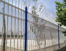 廠區(qū)鐵藝護欄 廠區(qū)鐵藝護欄